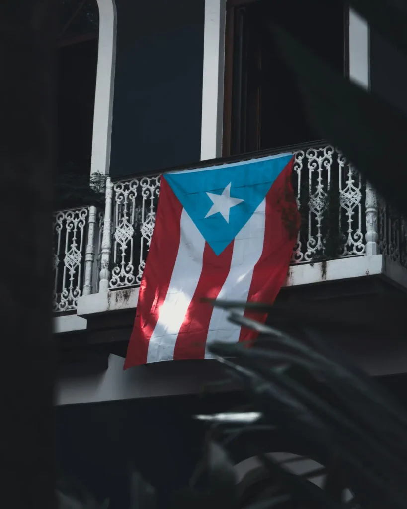The Role of Cultural Competence in Medical School Success for Puerto Rican Students