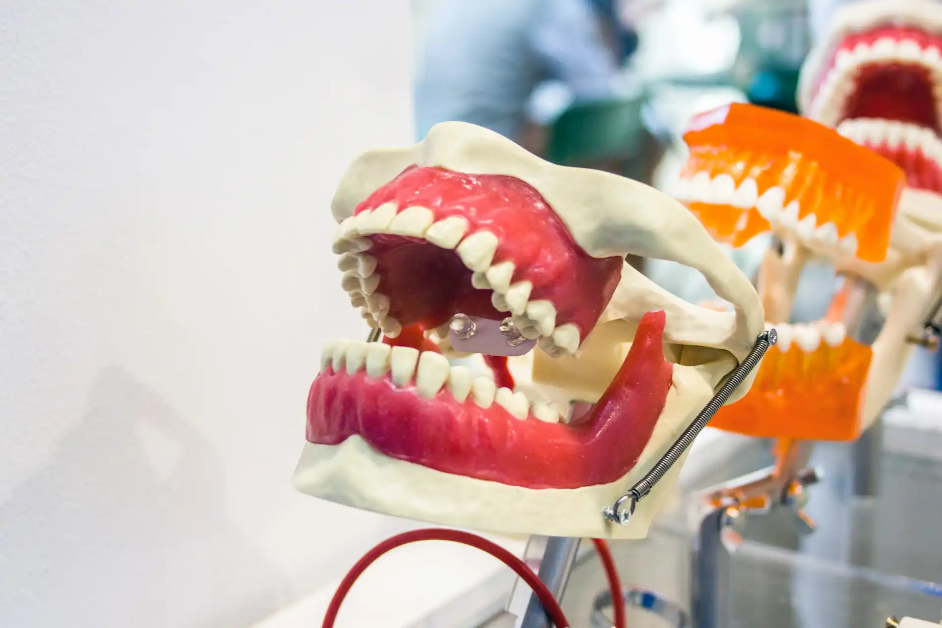 The Importance of the PAT in Dental School Admissions